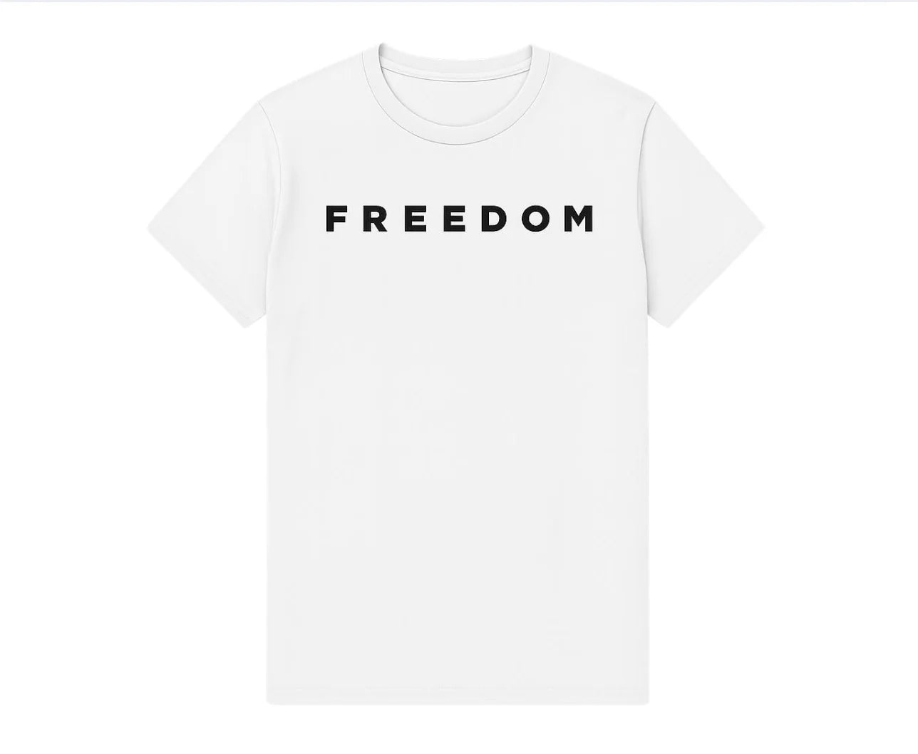 FREEDOM T-Shirt / In All Honor – Charlie Kirk