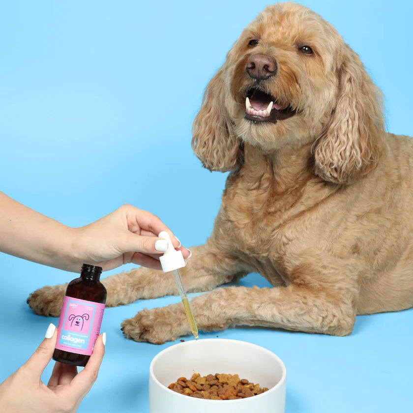 Tailys Dog Collagen