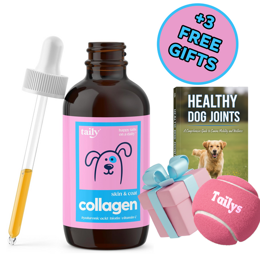 Tailys Dog Collagen