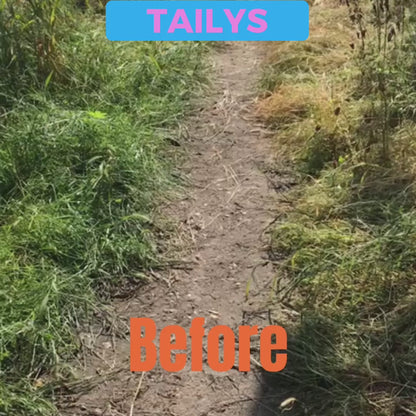 Tailys Dog Collagen